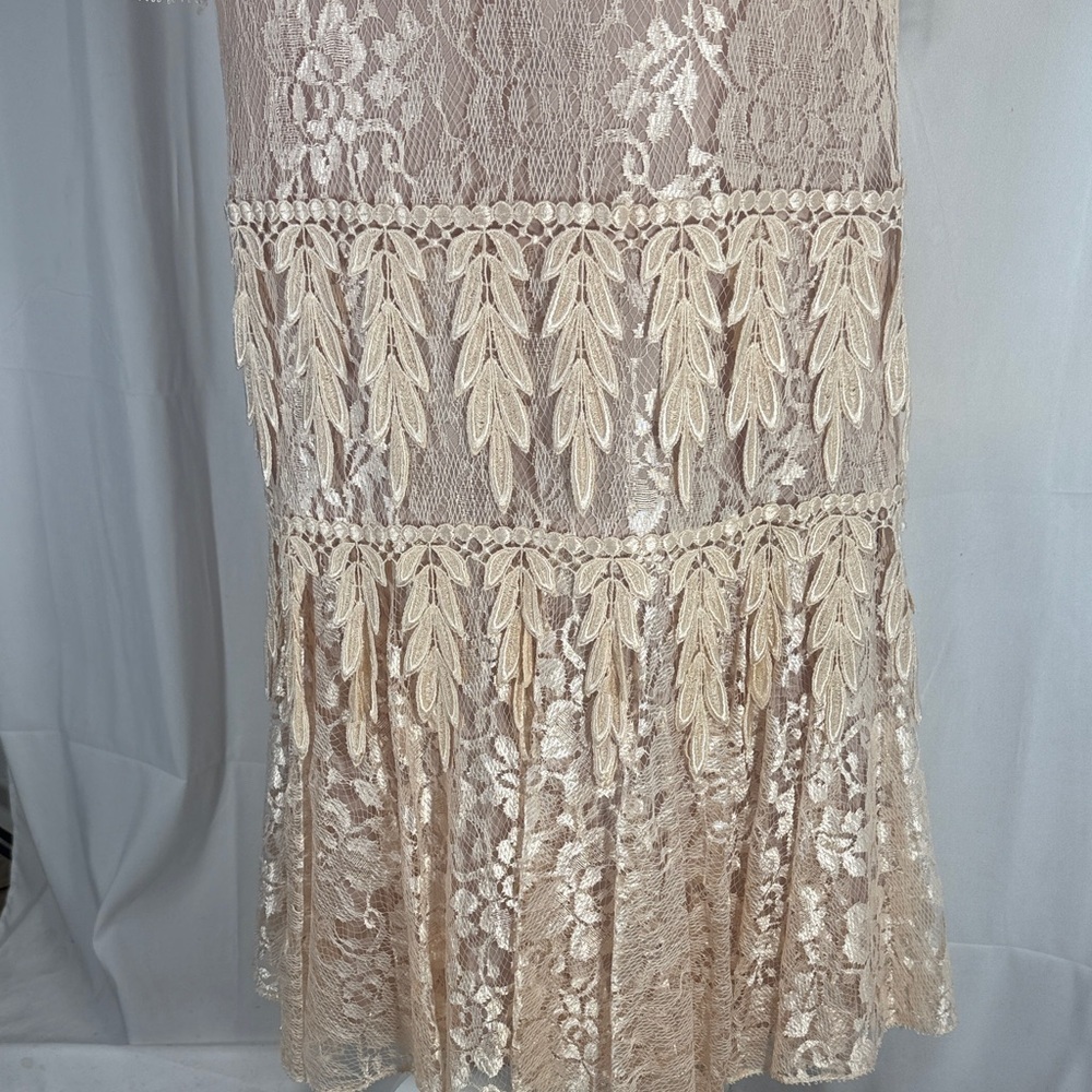 Ursula of Switzerland Lace Long Sleeve Dress in Rose Gold Size 8 - Picture 6 of 12